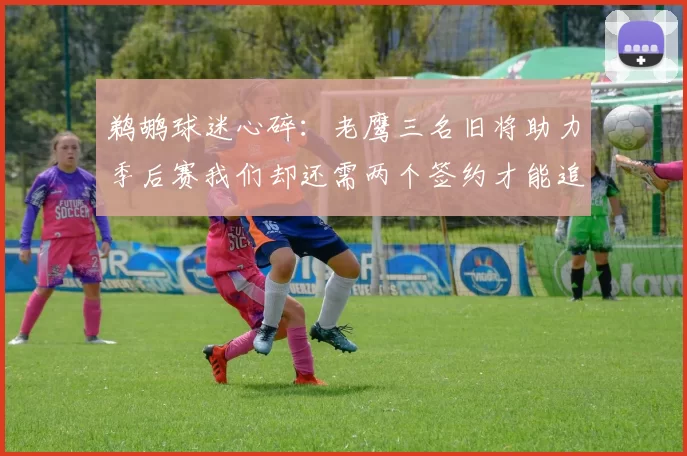 鹈鹕球迷心碎：老鹰三名旧将助力季后赛我们却还需两个签约才能追赶