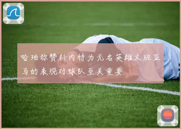 哈珀称赞科内特为无名英雄文班亚马的表现对球队至关重要